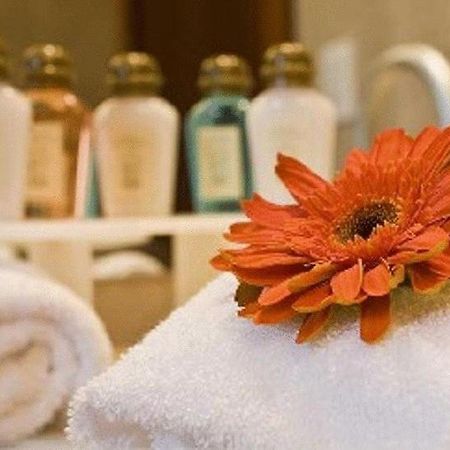 Hotel Stubel Suites & Cafe Кито Номер фото
